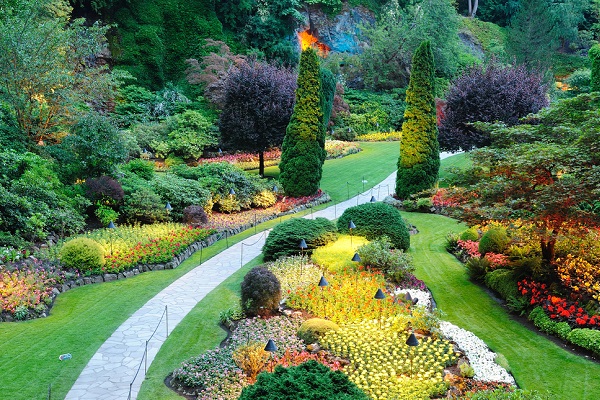 Озеленение участков Краснодар