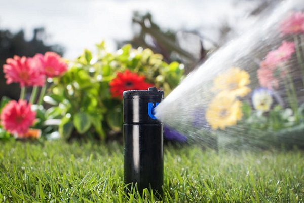 Системы автоматического полива Краснодар