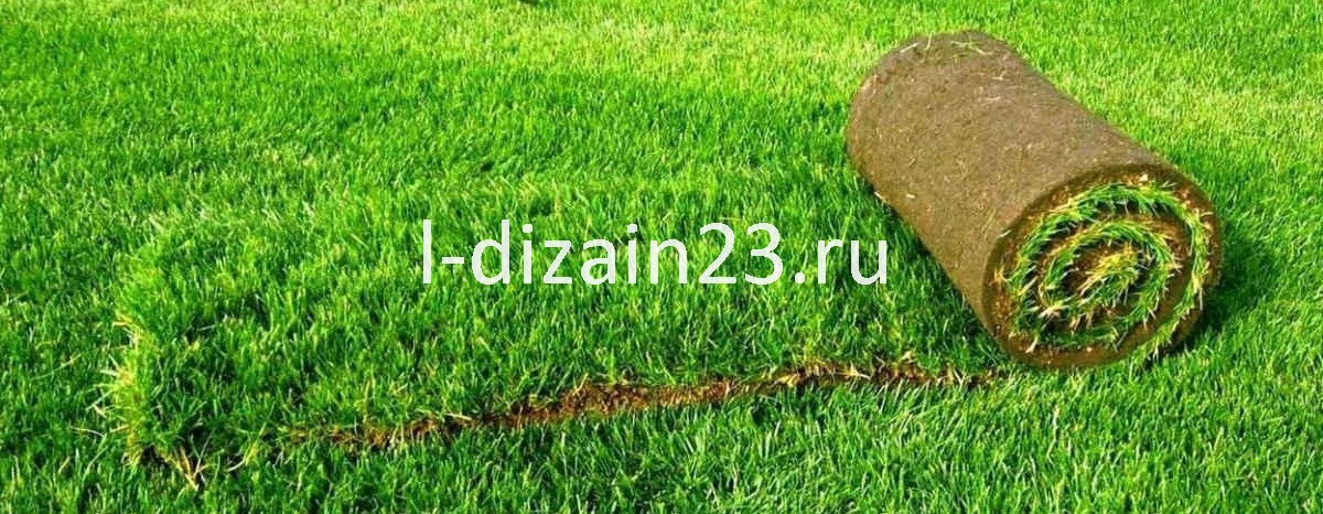 Преимущества рулонного газона